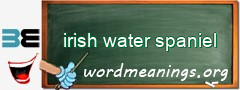 WordMeaning blackboard for irish water spaniel